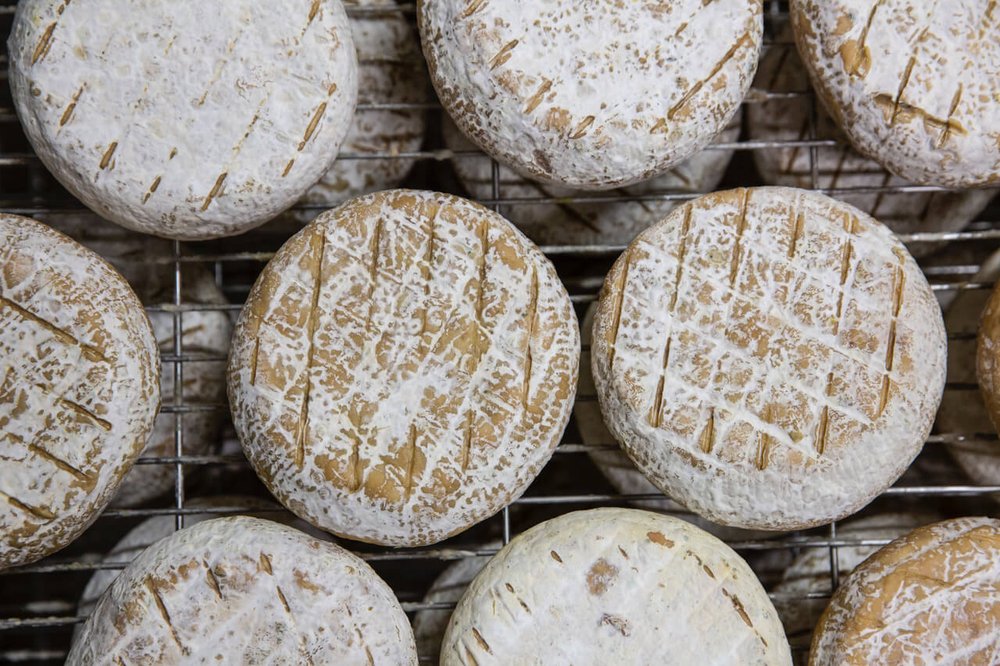 Cheese wheels aging